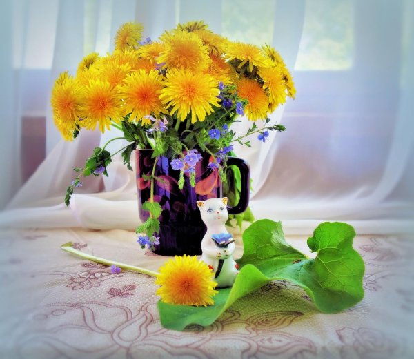 ольга базанова одуванчики