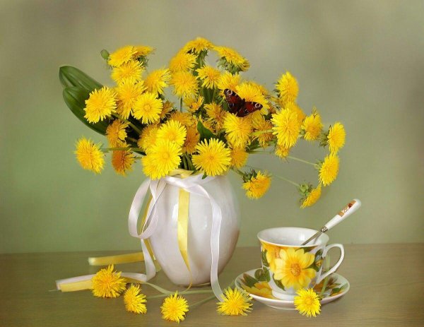 ольга базанова одуванчики