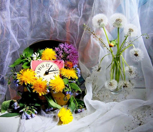 натюрморт сергея потиха одуванчики