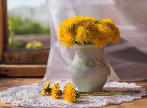 тутунов сергей одуванчики