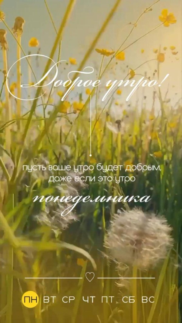 пусть каждое утро будет добрым