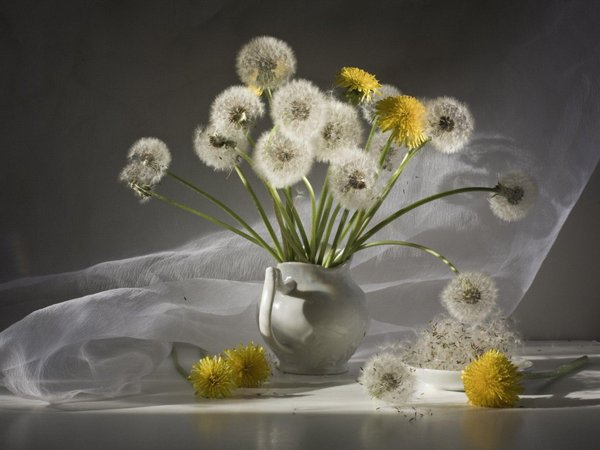 ларисса гамильтон  одуванчики