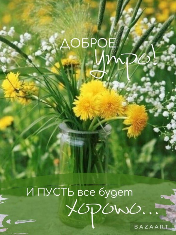 одуванчик желтый