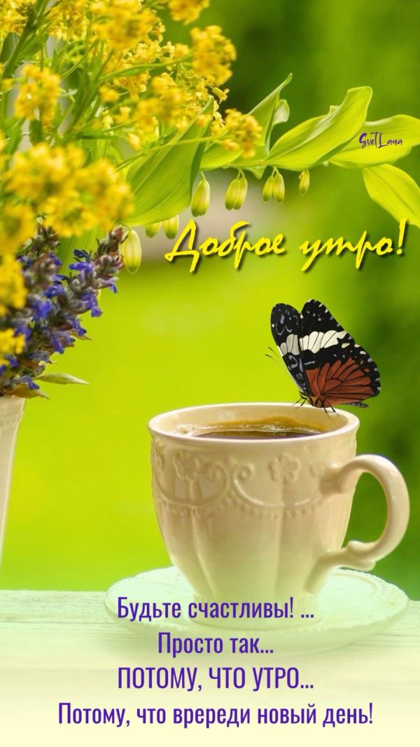 доброго ранку