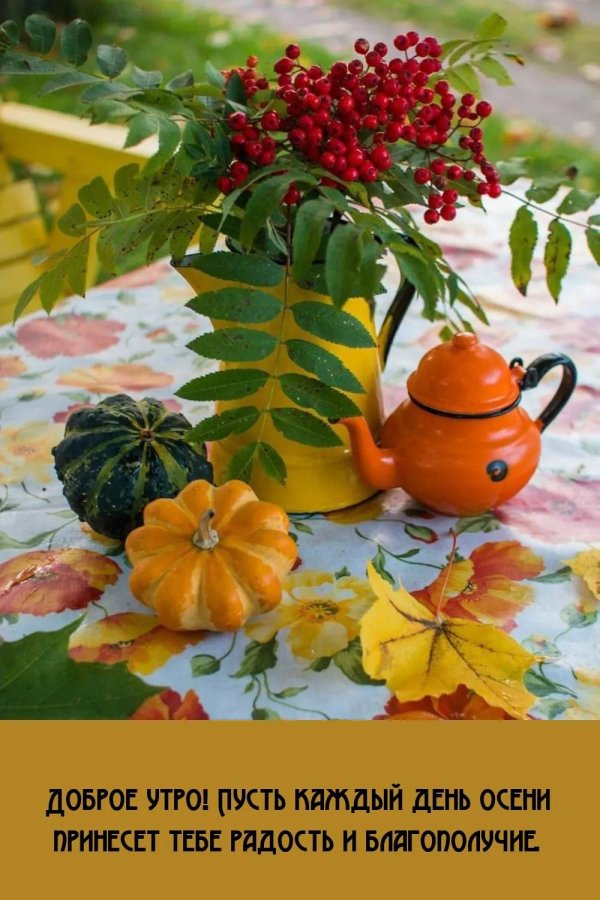 добрейшего осеннего утра