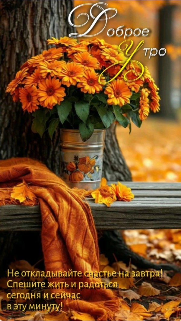 цветок осенний