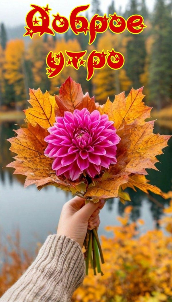 осенние букеты цветов