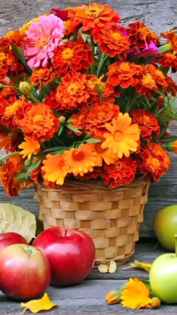 букет осенних цветов