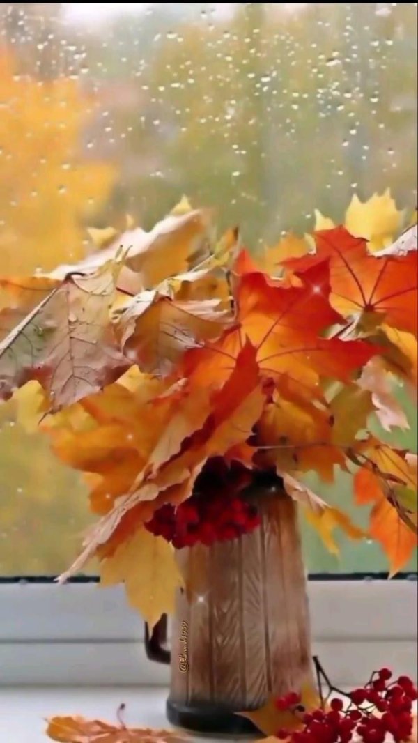 утро осеннее