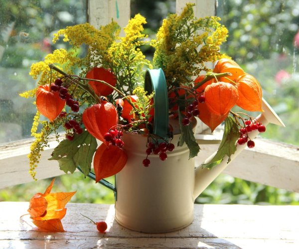 красивые осенние букеты