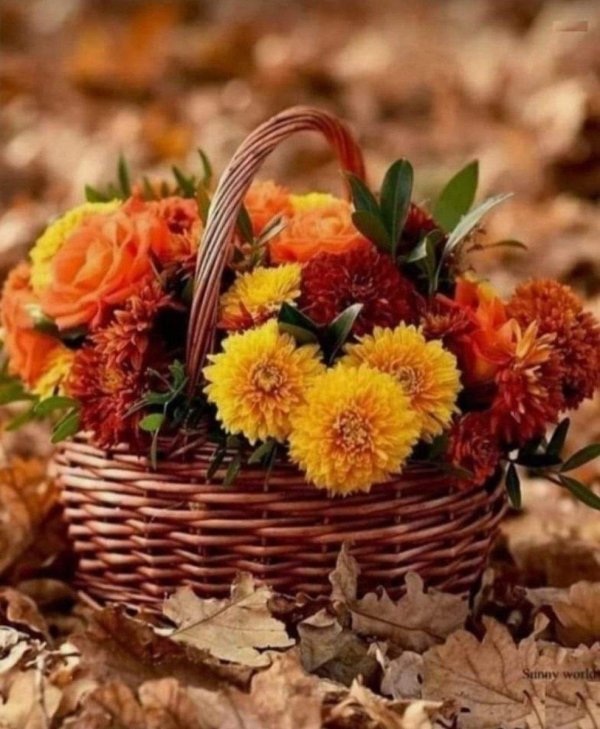 осенний букетик