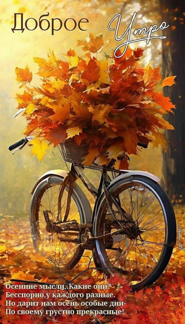 осеннего утра