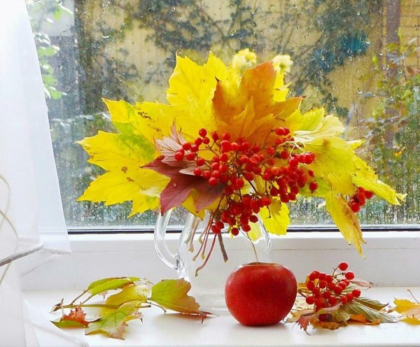 кленовые листья в вазе