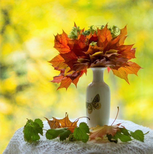 кленовые листья в вазе