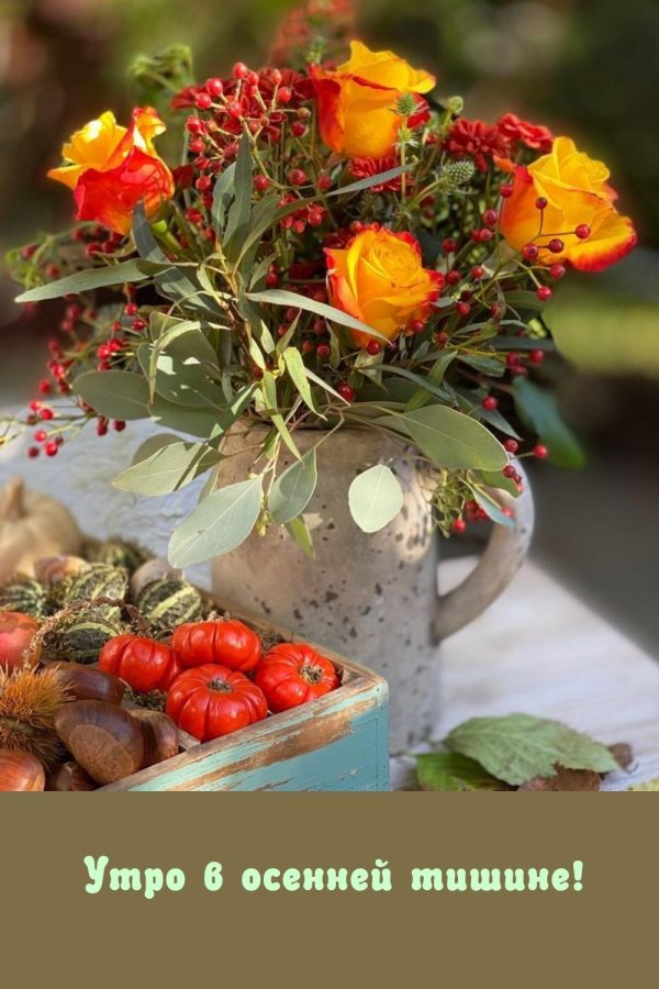 утро осеннее