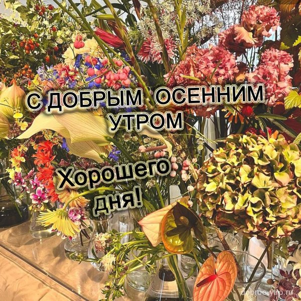 добрейшего осеннего утра