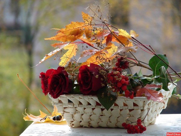 осенний букетик мария бровко