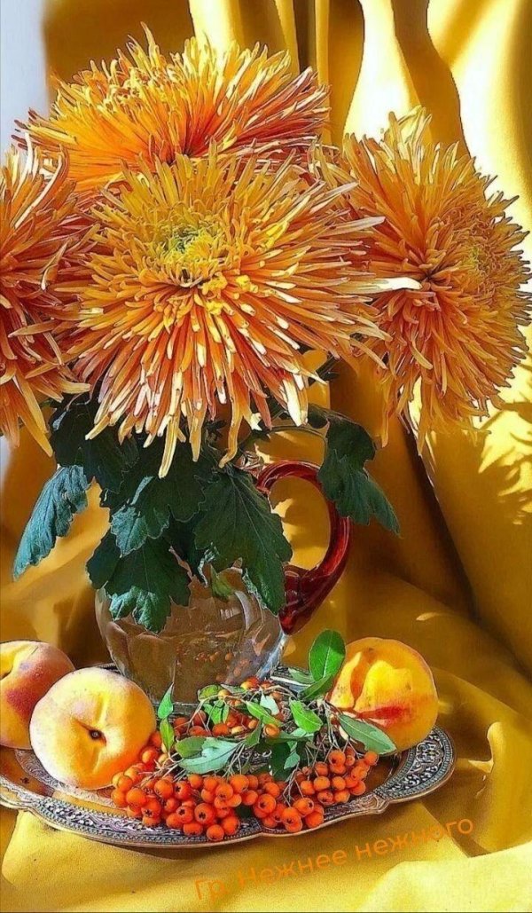 осенние цветы