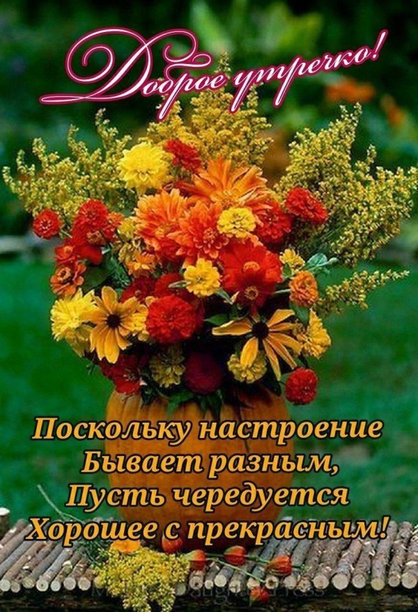 доброго утра осеннего