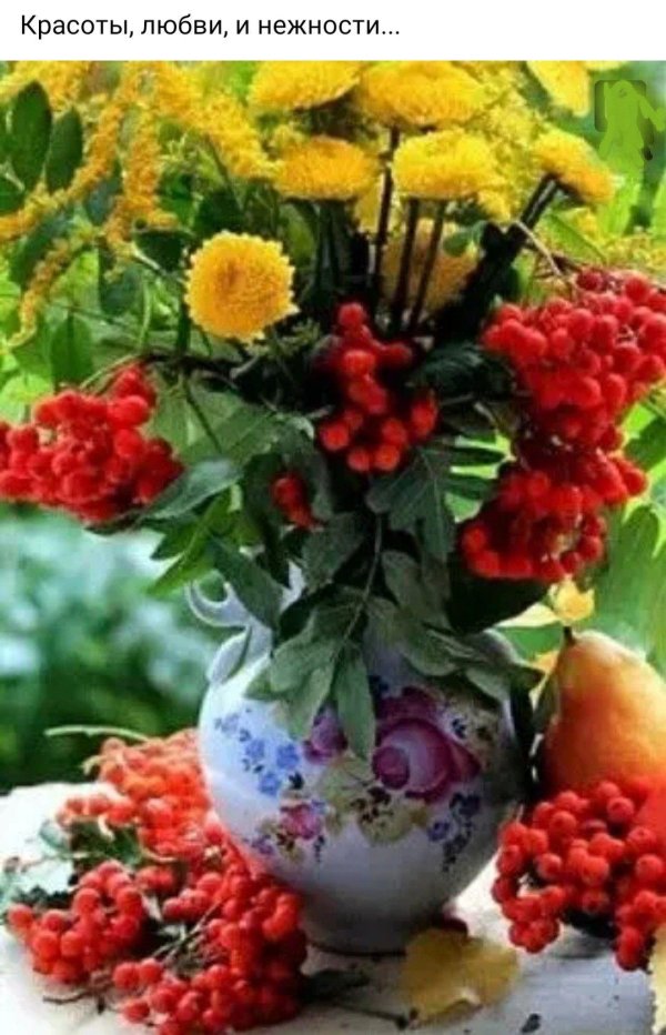 осенние цветы