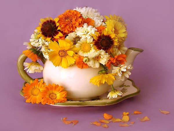 открытка с осенними цветами