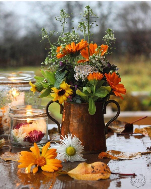 осенние цветочные композиции