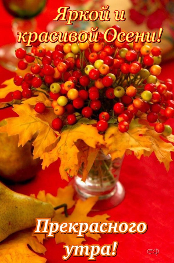 открытки с последним воскресеньем осени