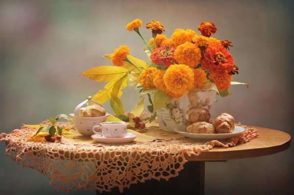 осенние цветы