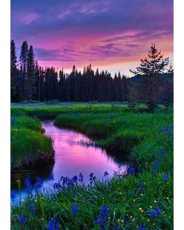 красота природа