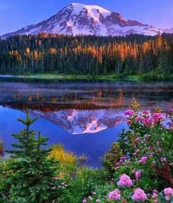 красота природа