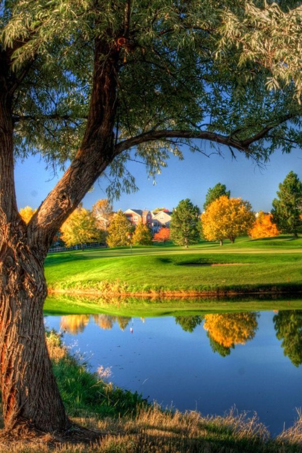 прекрасная природа