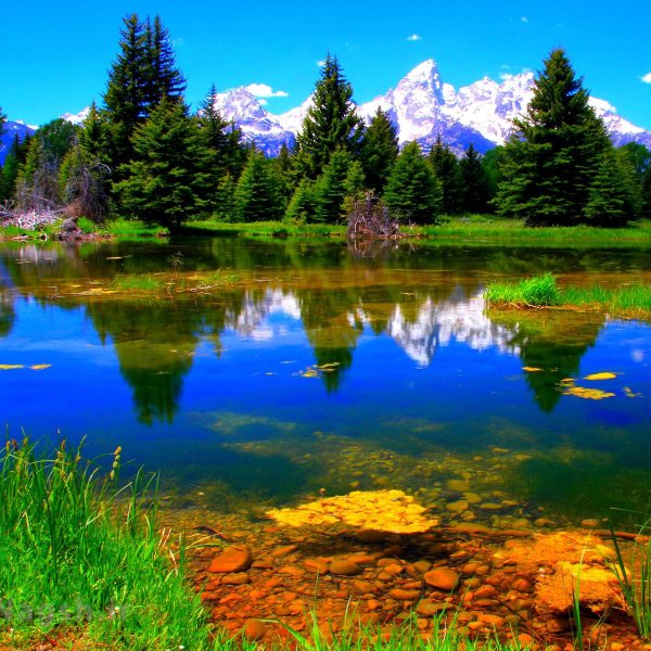 природа красивая