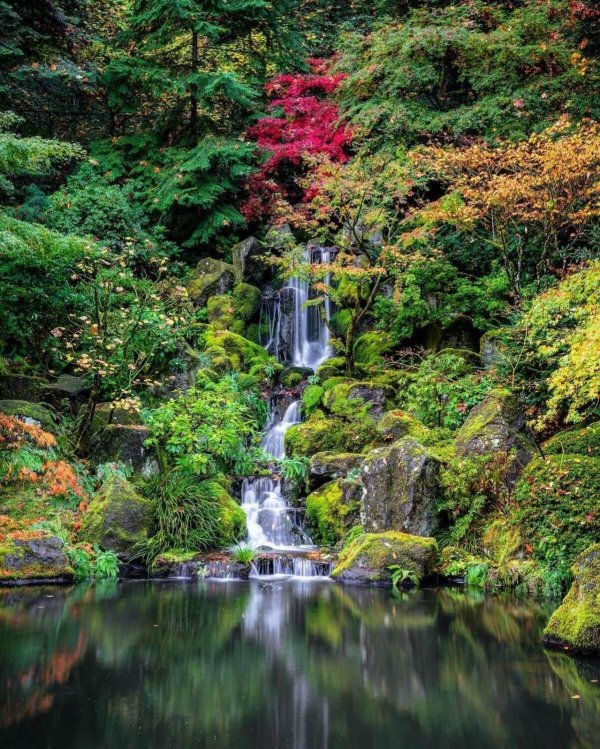 сад японский