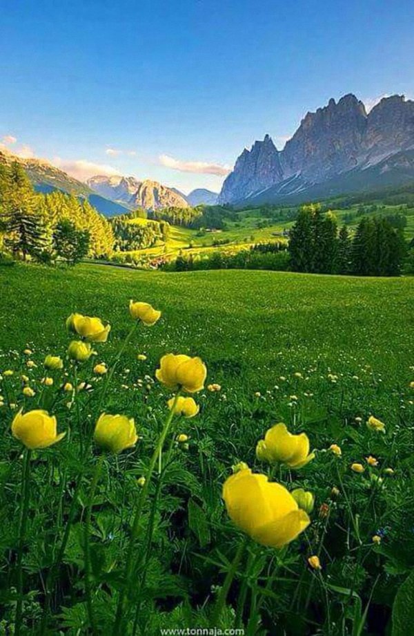 красота природа