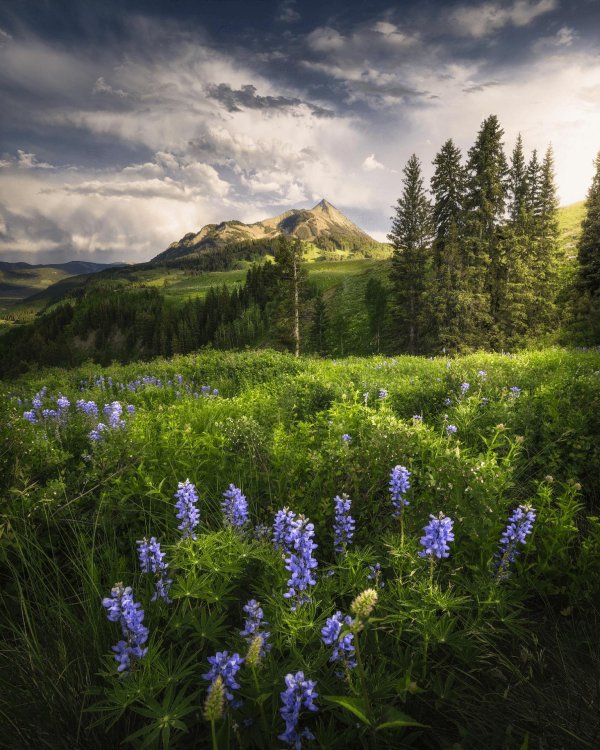 штат колорадо природа