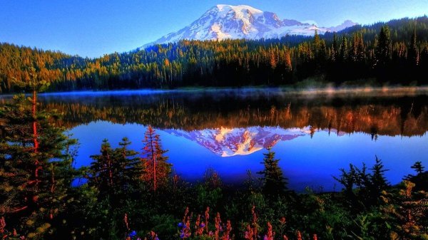 mt rainier national park