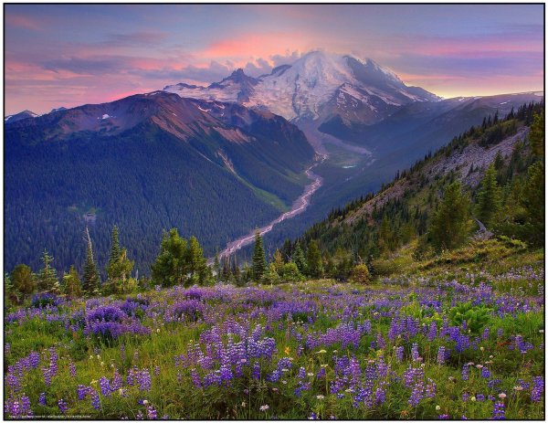 национальный парк маунтрейнир штат вашингтон