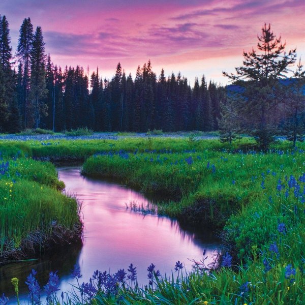 природа красивая