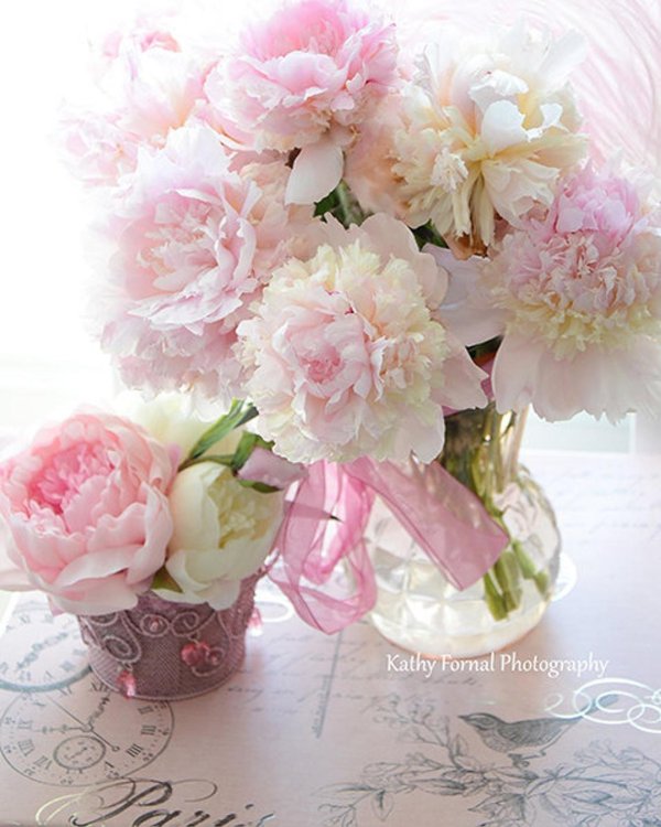 пионы шебби