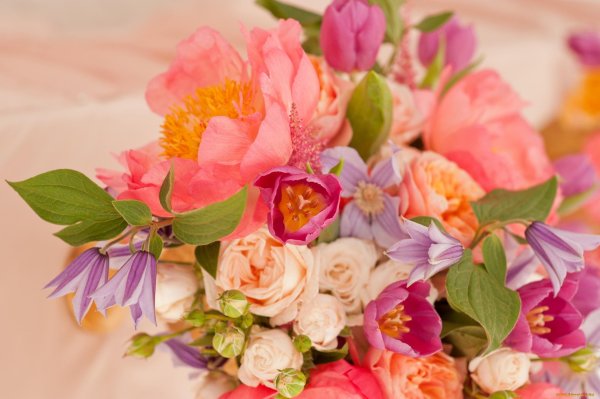 коралловые пионовидные розы