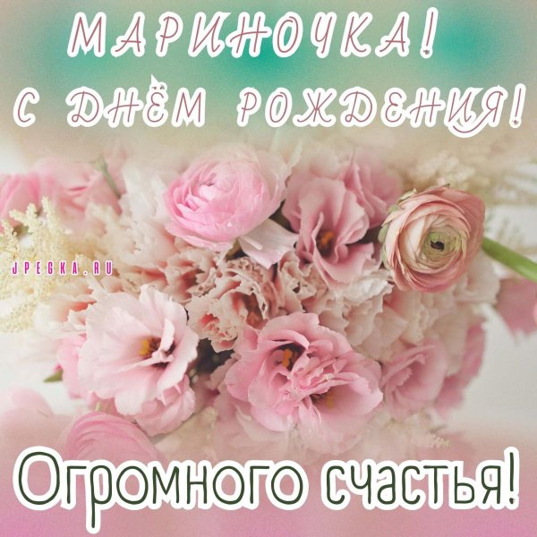 ранункулюс нежный