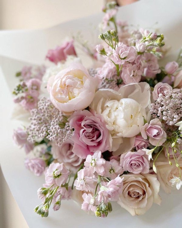 пудровые пионы букет