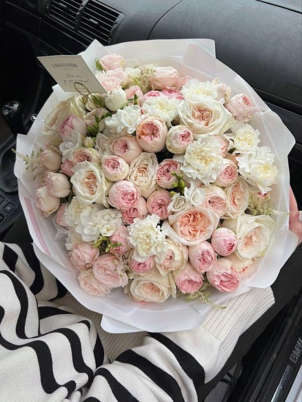 кустовая пионовидная роза джульетта