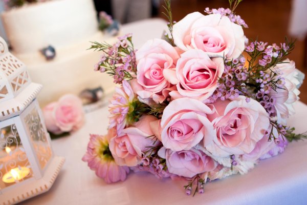 красивые нежные цветы