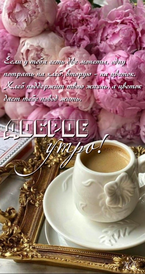 добра утра