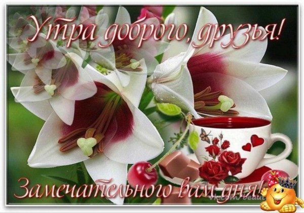 открытки с добрым утром