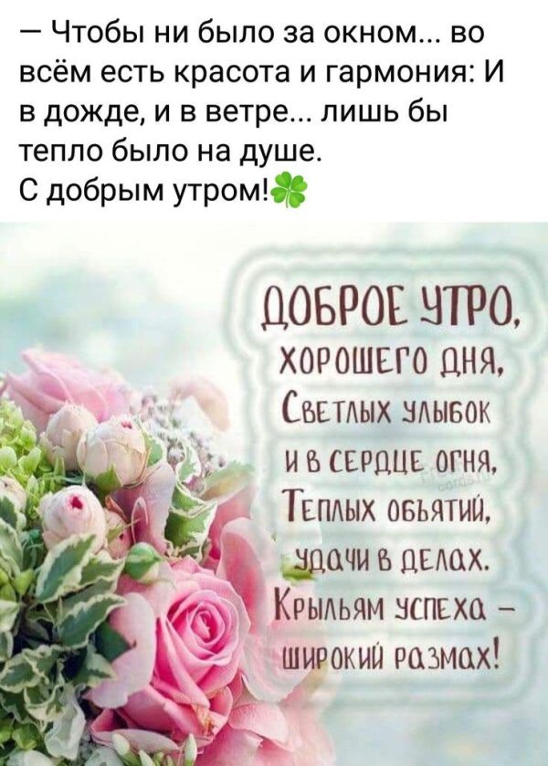 с добрым утром вторника