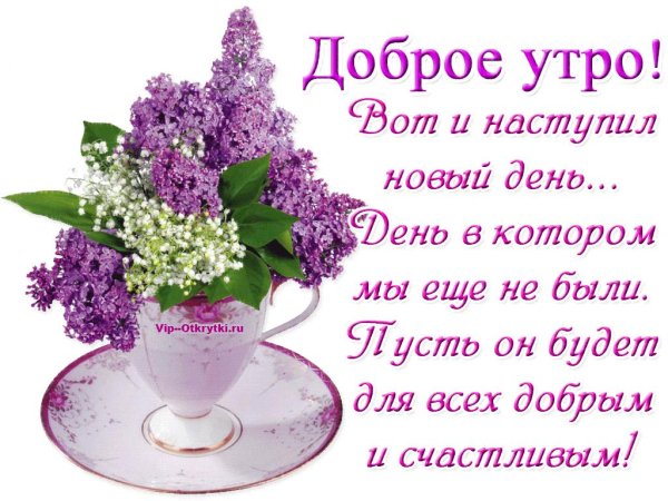 доброе утро и хорошего дня новые