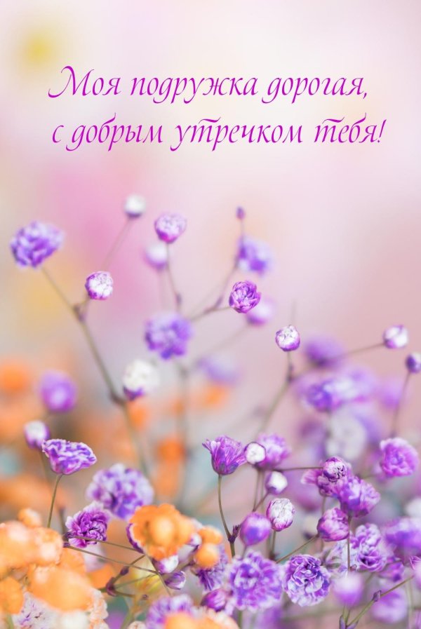 доброго утра подруга