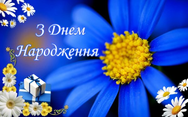 з днем народження